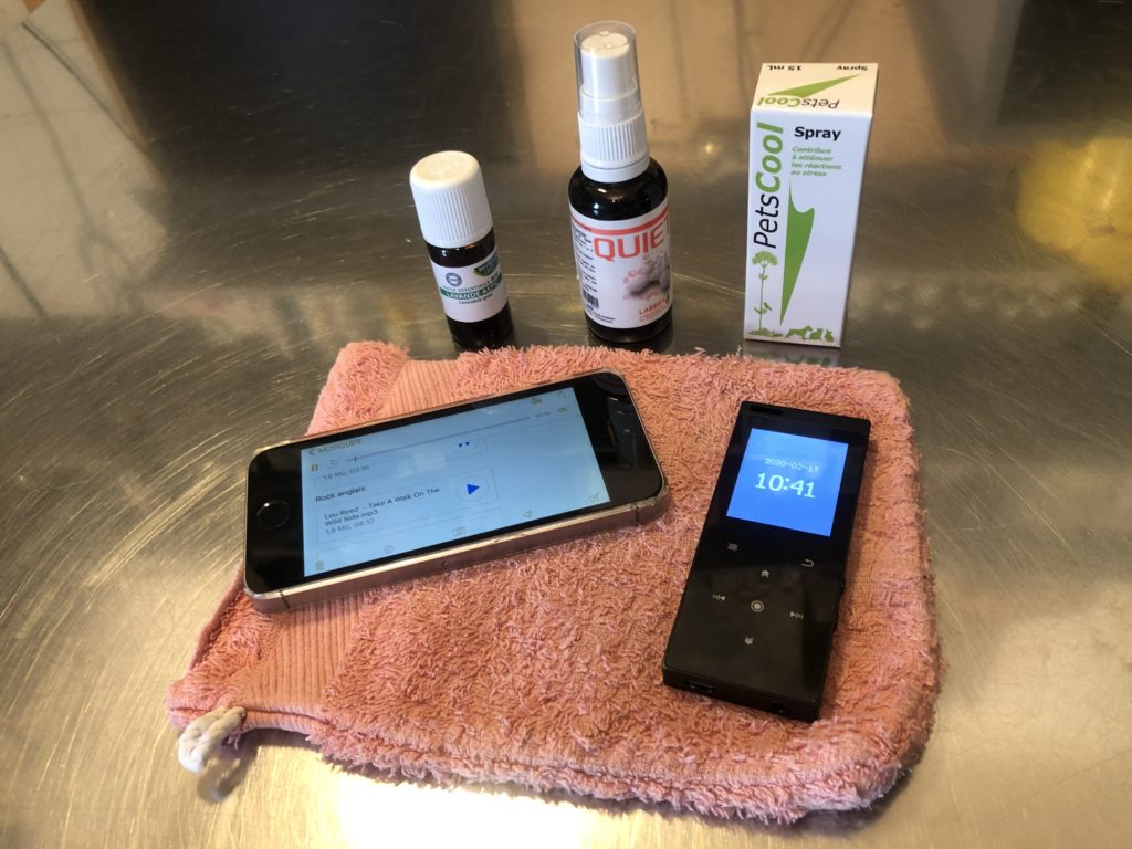 Purette Fluids Purr therapy: your smartphone could become a “purrette ...